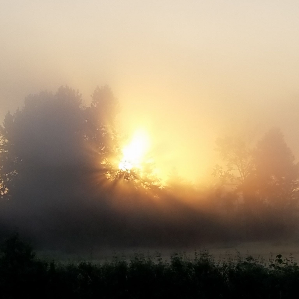 Meet your Posher, Corry